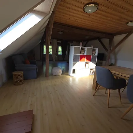 Skovly Daire